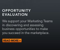 Opportunity Evaluation - Read More