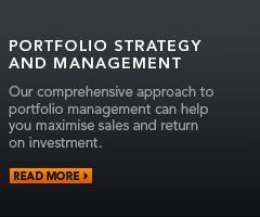 Portfolio Management & Strategy - Read More